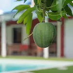 Villa Hibiscus